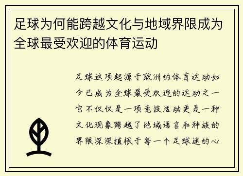 足球为何能跨越文化与地域界限成为全球最受欢迎的体育运动